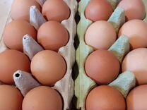 Куриные, перепелиные яйца