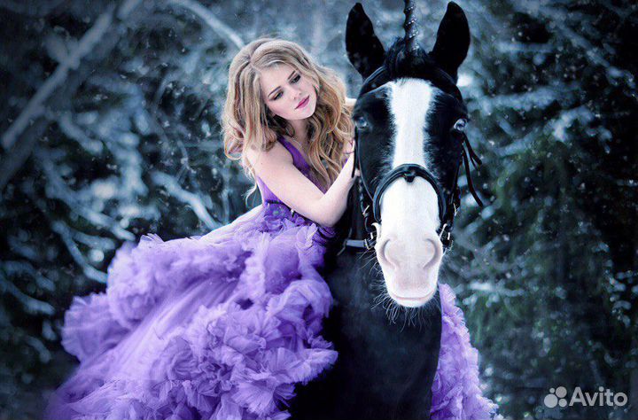 Верховая езда, фотосессии, пони-клуб