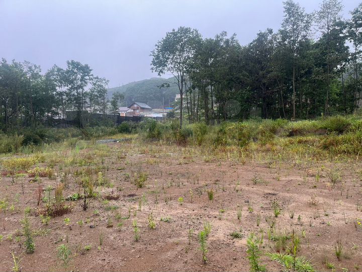 Участок 20 сот. (СНТ, ДНП)