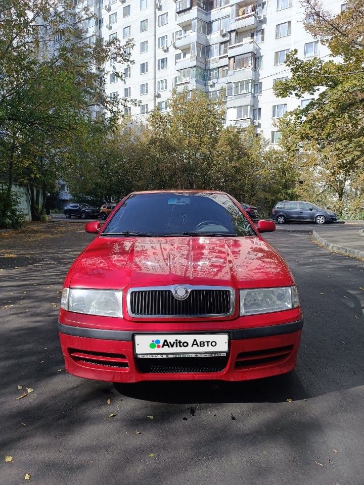 Skoda Octavia: фото владельца