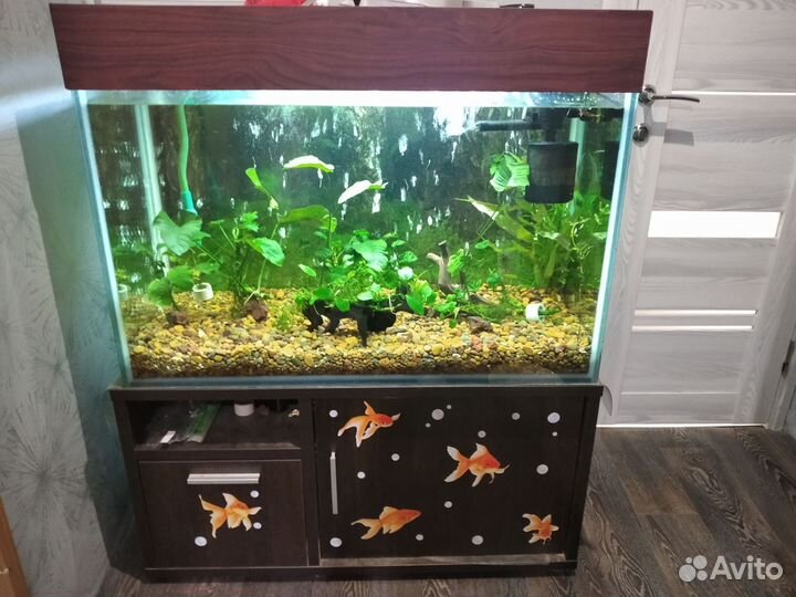 Аквариум 240 литров