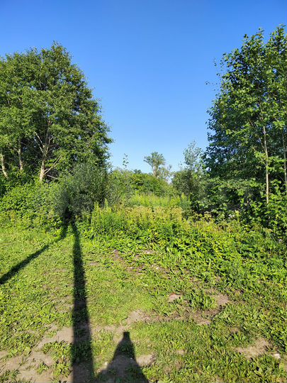 Участок 10 сот. (ИЖС)