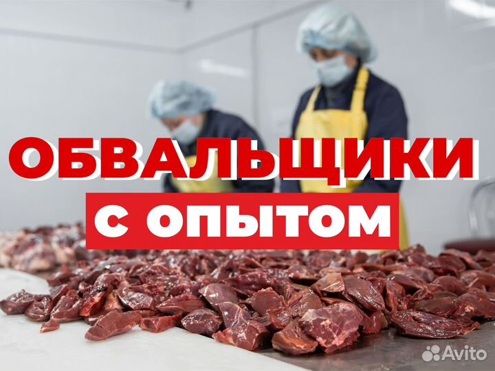 Обвальщики (с опытом)
