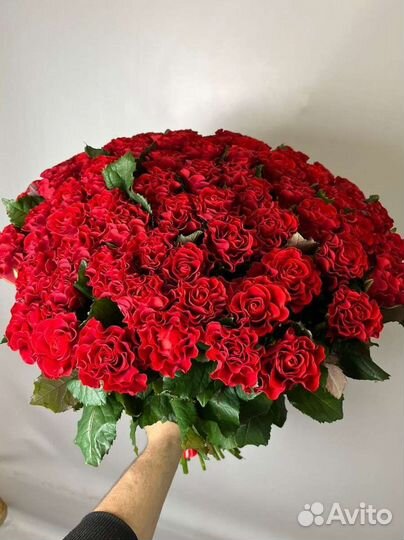 Голландские роза, букет из роз 25-101