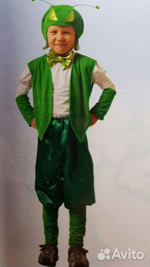 Костюм Кузнечик. Костюм Муравей