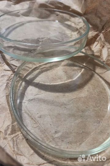 Чашка Петри