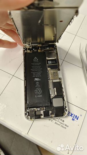 iPhone 5S, 16 ГБ