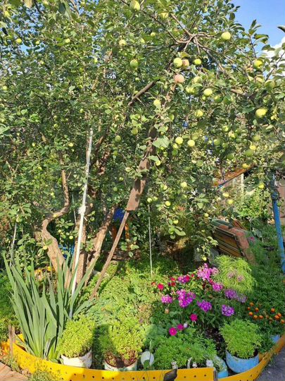 Дача 57 м² на участке 6 сот.