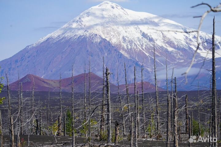 10 дней по Камчатке