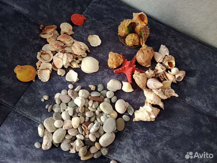 Ракушки и камни с черного моря