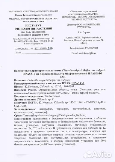 Бионапиток из живой микроводоросли хлорелла