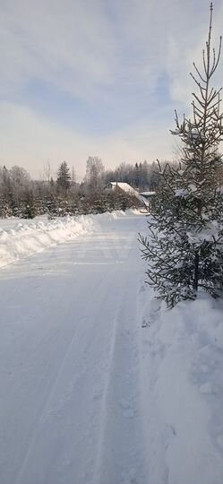 Коттедж 180 м² на участке 12 сот.