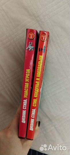 Книга дневник стива