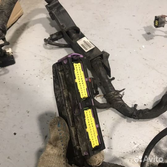 Проводка коса двс Jeep Cherokee KJ Liberty KJ