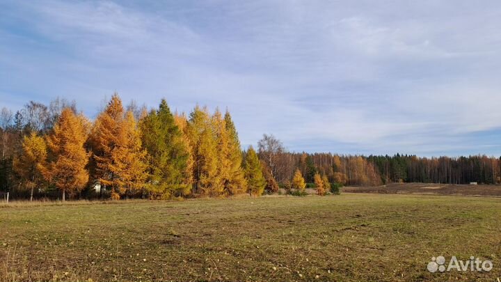 По лесным тропам Ленинградской области. Петяярви