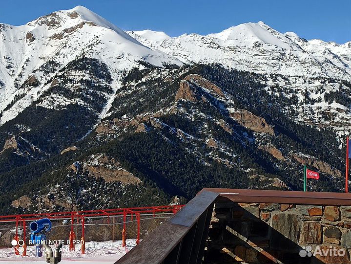 Художники мира 100 томов