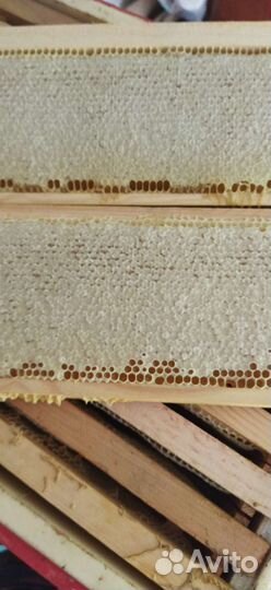 Натуральный мёд