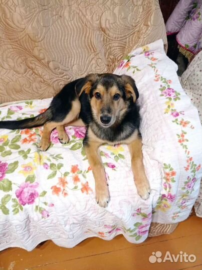 Девочка в добрые ручки