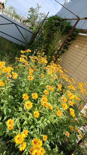 Дом 86 м² на участке 3,7 сот.