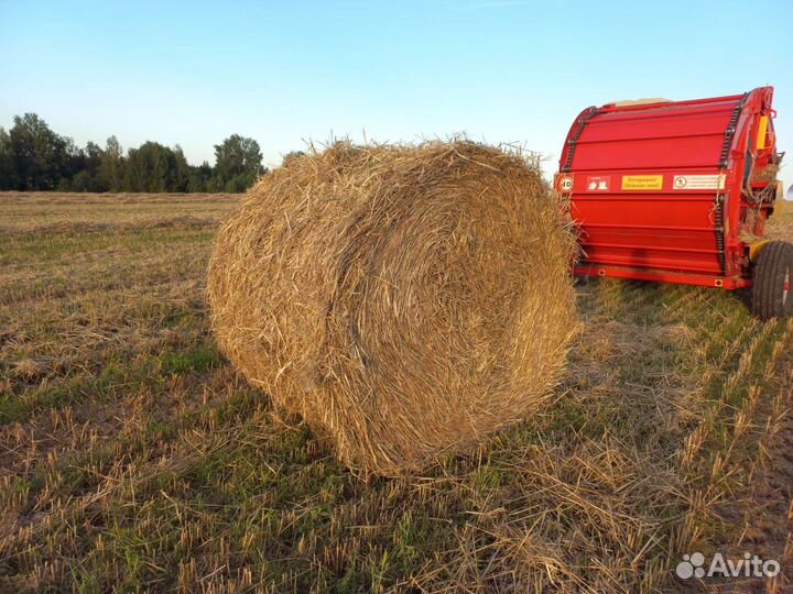 Солома в тюках с доставкой