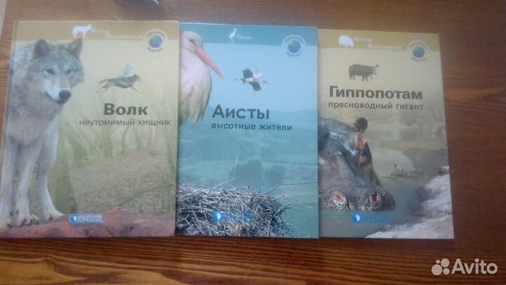 Книги для детей Аисты, бегемоты, волки