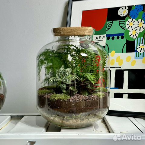 Флорариум с папоротниками и подсветкой jungle lux купить в Москве ...