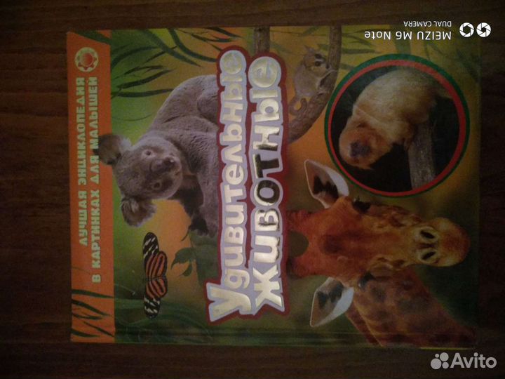 Новые Книги