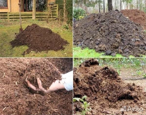 Навоз для дачи