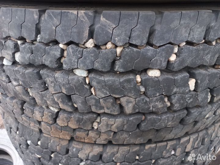 Шины 245 70 19.5 кордиант