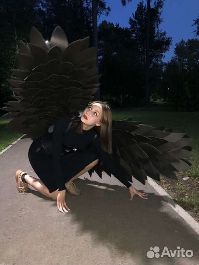 Крылья черные. Прокат