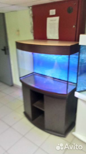 Аквариум 200 свет биофильтр фон подставка