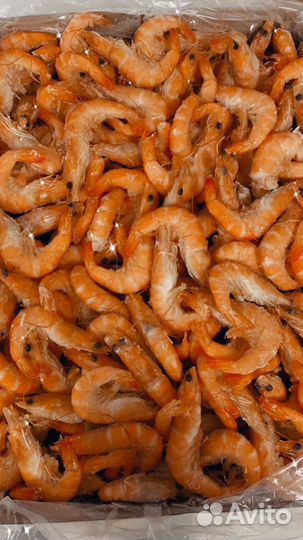 Креветки северные/королевские