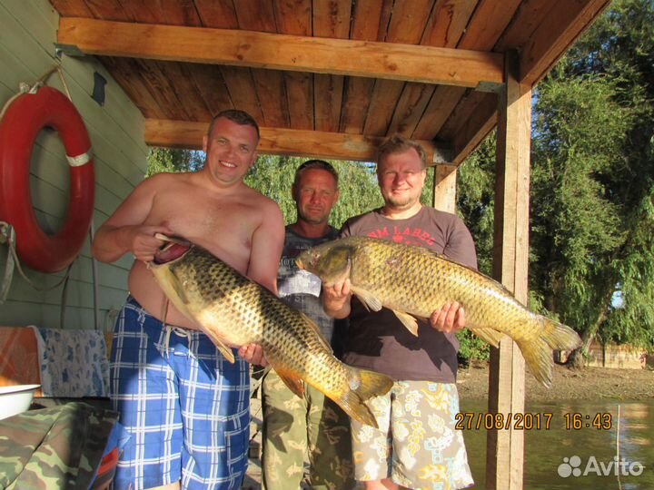 Гостевой дом, подводная охота, рыбалка, Станья