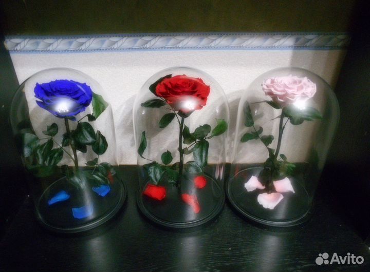 Вечная Роза в колбе + Гравировка в подарок