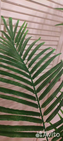 Искусственная пальма