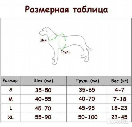 Амуниция, одежда, игрушки для собак