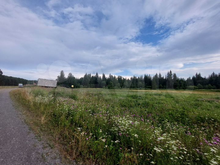 Участок 30 сот. (ИЖС)