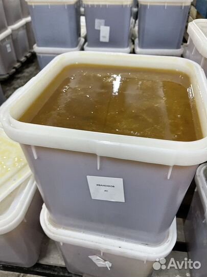 Эспарцетовый мёд оптом свежая качка