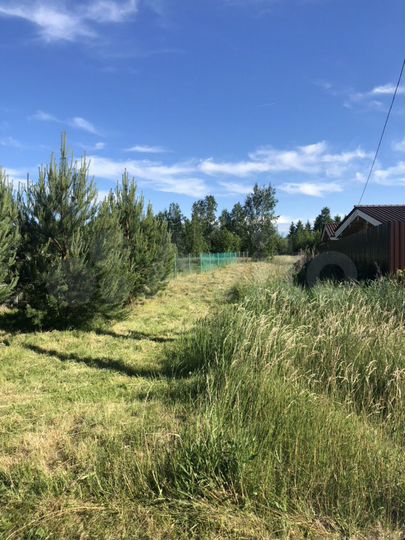 Участок 15 сот. (СНТ, ДНП)