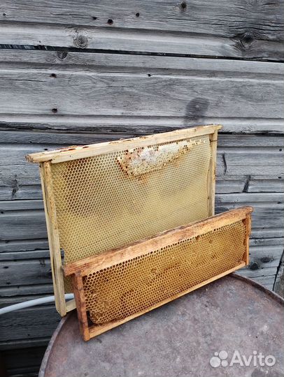 Рамки для пчёл сушь