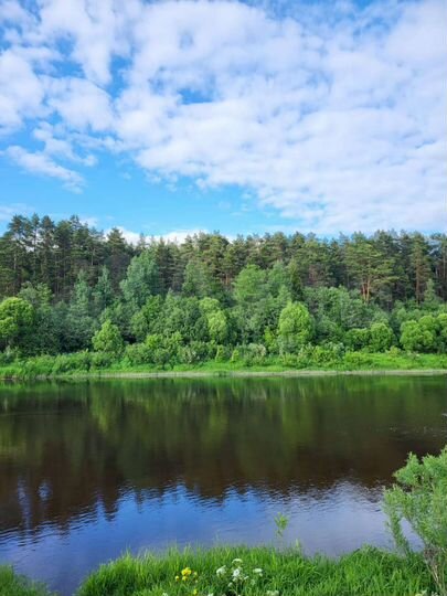 Участок 8,7 сот. (ИЖС)