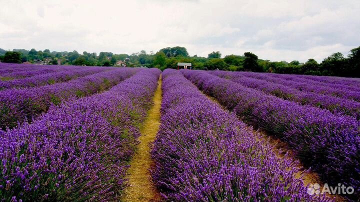 Экскурсионный тур Сукко