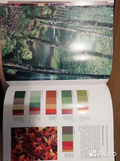 Шикарная книга