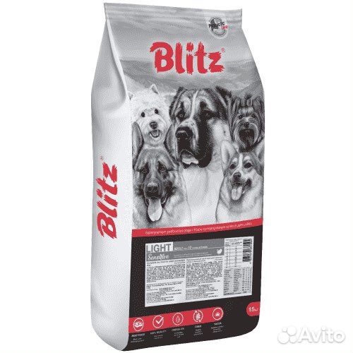 Кинологический клуб. Оформление документов