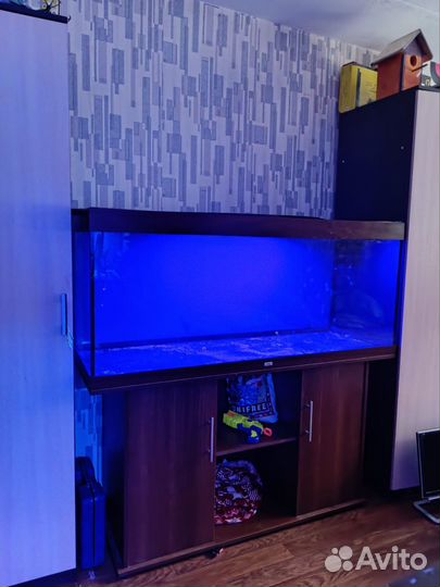 Аквариум