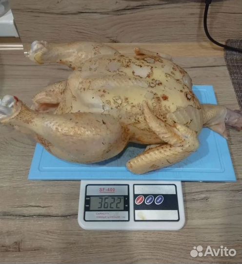 Куры бройлеры