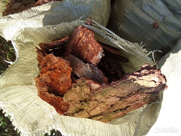 Сосновая кора