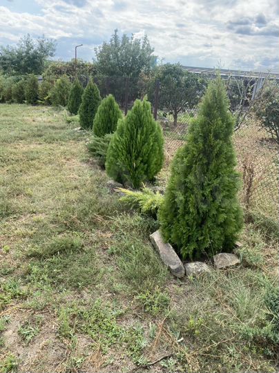 Участок 14 сот. (ИЖС)