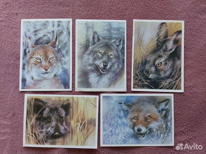 Открытки с животными