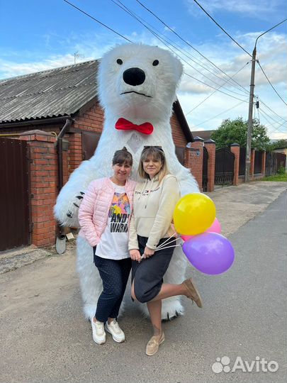 Белый мишка поздравление